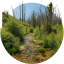 Ponderosa Pines Subdivision